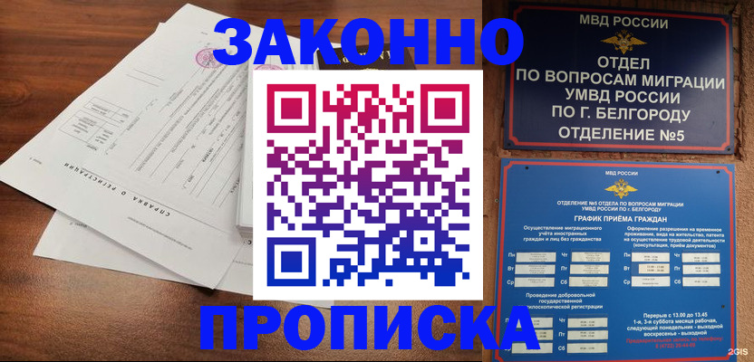 прописка в Тавде